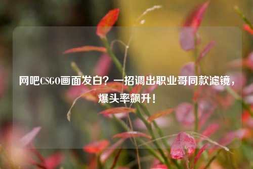 网吧CSGO画面发白?一招调出职业哥同款滤镜,爆头率飙升!
