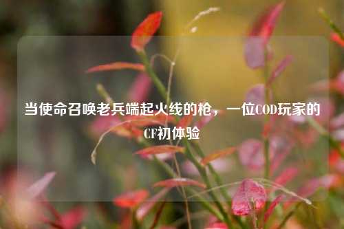 当使命召唤老兵端起火线的枪,一位COD玩家的CF初体验