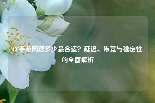 CF手游网速多少最合适?延迟、带宽与稳定性的全面解析