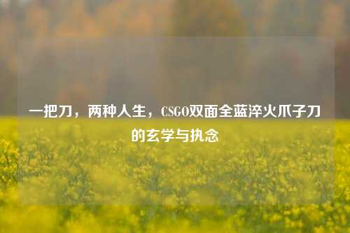 一把刀,两种人生,CSGO双面全蓝淬火爪子刀的玄学与执念