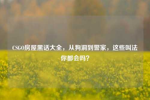 CSGO房屋黑话大全,从狗洞到警家,这些叫法你都会吗?