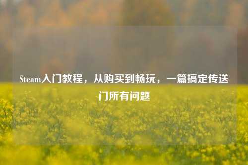 Steam入门教程，从购买到畅玩，一篇搞定传送门所有问题
