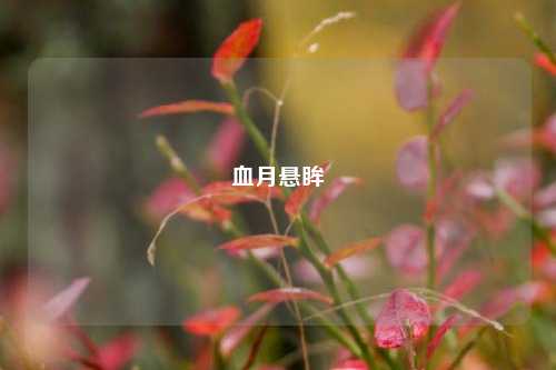 血月悬眸