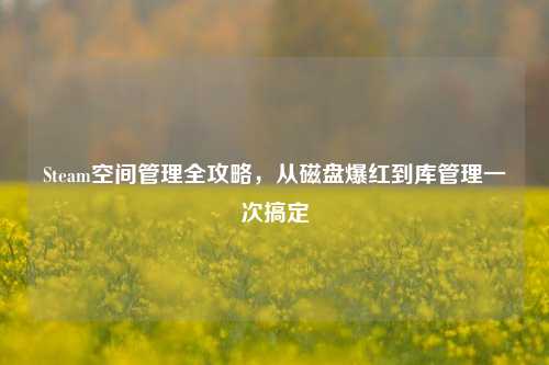 Steam空间管理全攻略,从磁盘爆红到库管理一次搞定