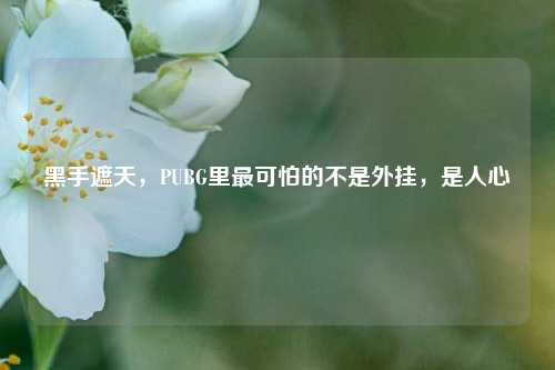 黑手遮天,PUBG里最可怕的不是外挂,是人心