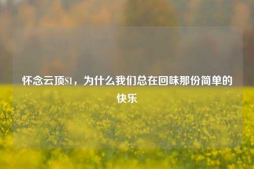 怀念云顶S1,为什么我们总在回味那份简单的快乐
