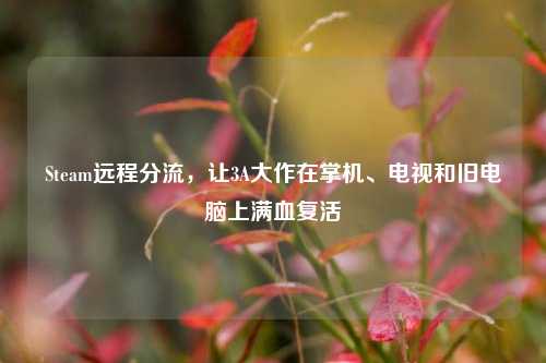 Steam远程分流,让3A大作在掌机、电视和旧电脑上满血复活