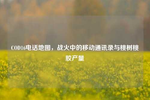 COD16电话地图,战火中的移动通讯录与桃树桃胶产量