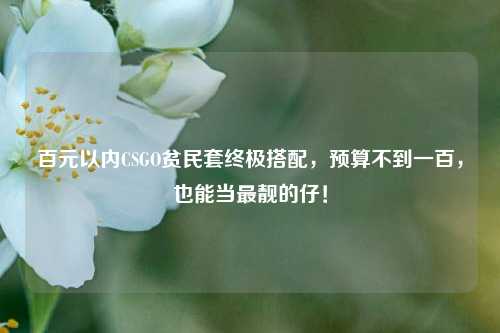 百元以内CSGO贫民套终极搭配，预算不到一百，也能当最靓的仔！