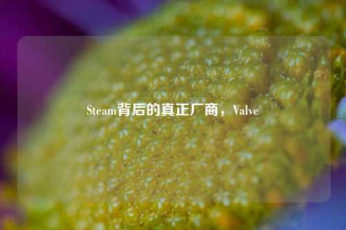 Steam背后的真正厂商,Valve