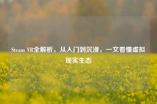 Steam VR全解析,从入门到沉浸,一文看懂虚拟现实生态