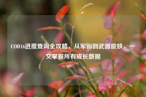 COD16进度查询全攻略,从军衔到武器皮肤,一文掌握所有成长数据